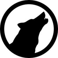 Team Alpha