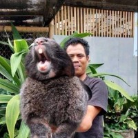 Azhar Prajadinata