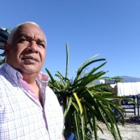 Felix Ramirez Bido