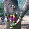 Bala Murugan
