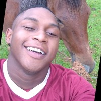 Crithian santiago Viidal mosquera