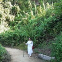 Mst Minara Khatun