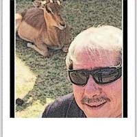 Lloyd Williams