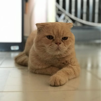 Philip Lau