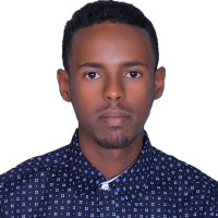 Berhan Mengistu