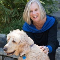 Terri Foster
