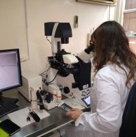 Yael Filipiak Neumark