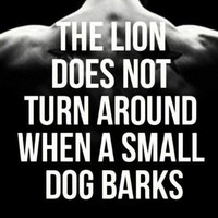 Timothy Robinson Sr.