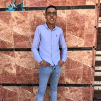 Mahmoud Bakr