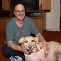 Steve Laub