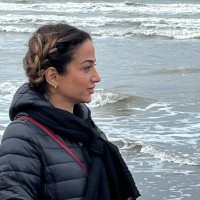 lida mostafavi