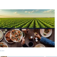 gulfneed general trading