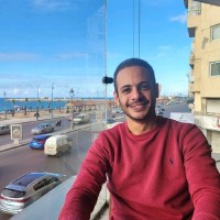 Karim El Nouby