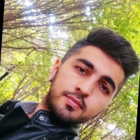Pourya berenji