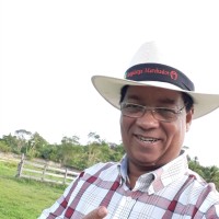Marcelo Araújo