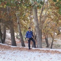 Aref Ghorbani