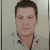 Amr Abu-Omar
