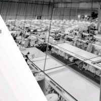 sandra ligia