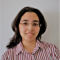 Neveen Sakr Ahmed