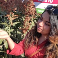 Michelle del Angel Posadas Reyes