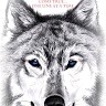 ShieldWolf Productions