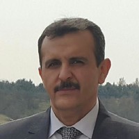 Hamidreza Razmjoo