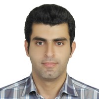 Hadi T.