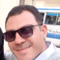 Hussein Ashry