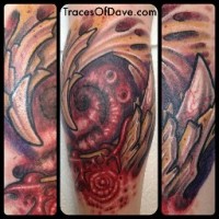 Aaron Dewitt