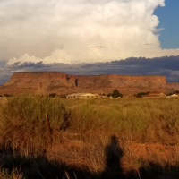 Linda Tucson