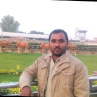 Vivek Kumar Tomar