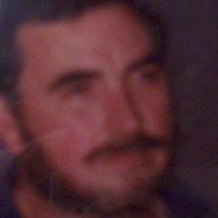 Ben Banner