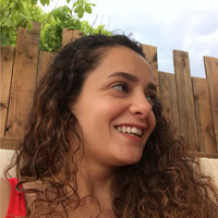 Ayşe Özlem Gür MERTOĞLU
