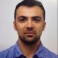 Silviu Stan