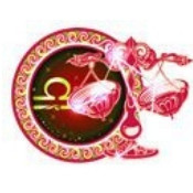 Astrologer Gopal Shastri Ji