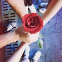 黄龙潮