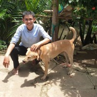 Son Viet Nguyen