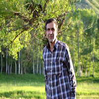 Behroz Mohamadi
