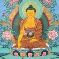 周医生