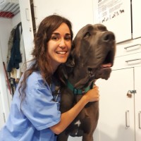 Marta Pons-Sorolla Casanova