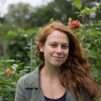 Alexandra L. Stern