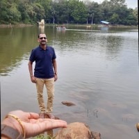 Rajarathinam C