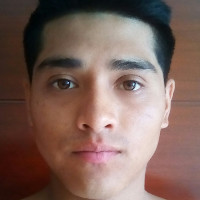 Luis Jesús enrique Julca segovia