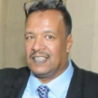 Mahmoud Badawy