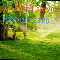 José Flores service