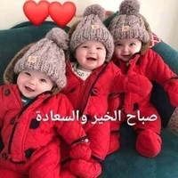 Ramy Habib