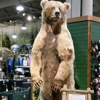 Evelynn Izurieta Montoya