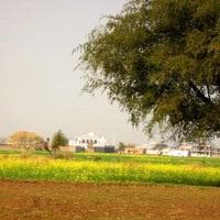 Tariq Mehmood