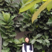 huda anuar