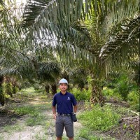 Firman Arianto
